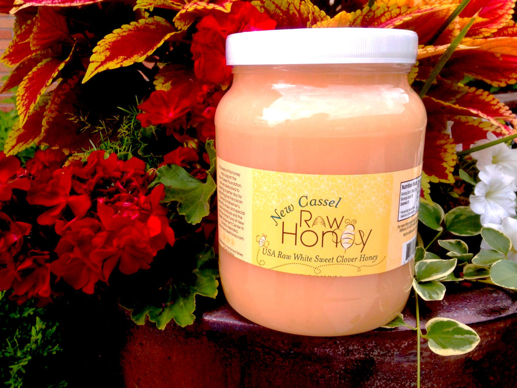 One (6 lb.) Pail of New Cassel Raw Honey